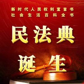 于飞：民法典总则编基本原则解读及法律适用